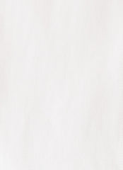 Fiora Mini Dress - White