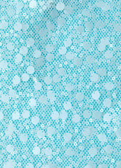 French Exit Sequin Top - Blue