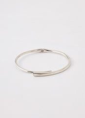 Raven Necklace - Silver